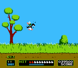 Duck hunt